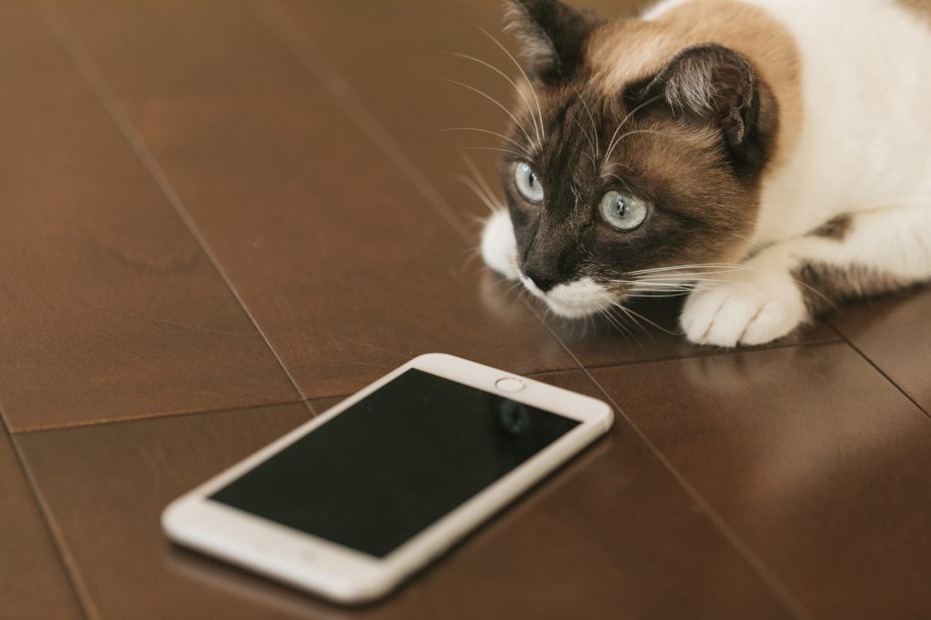 iPhone発売から10年経っても変わってないこと