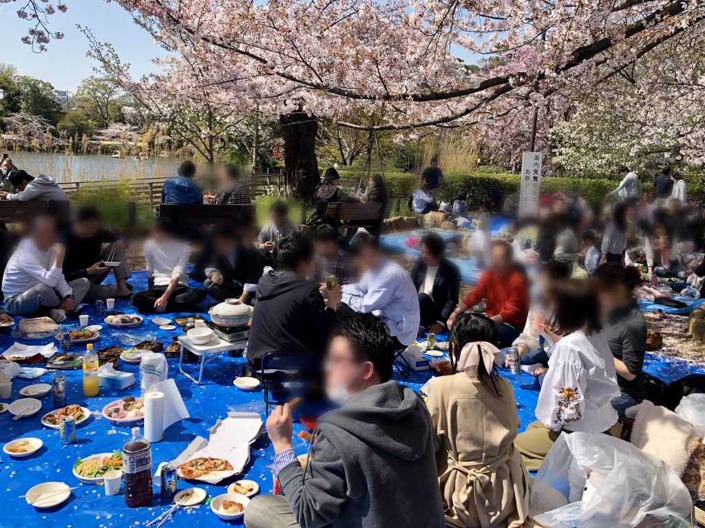 桜の花を眺めながら思うこと
